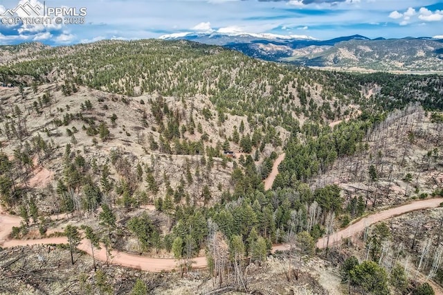1978 High Chateau Rd, Florissant, CO 80816 - view of mountain background with a heavily wooded area