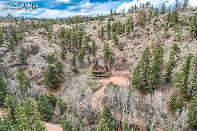 1978 High Chateau Rd, Florissant, CO 80816 - view of subject property