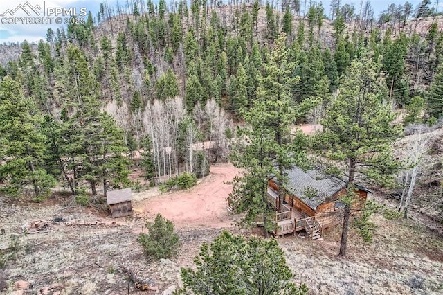 1978 High Chateau Rd, Florissant, CO 80816 - view of tree filled area