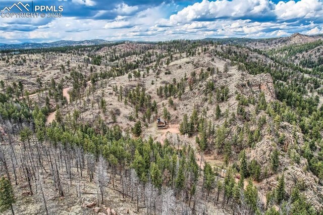 1978 High Chateau Rd, Florissant, CO 80816 - bird's eye view of a mountainous background