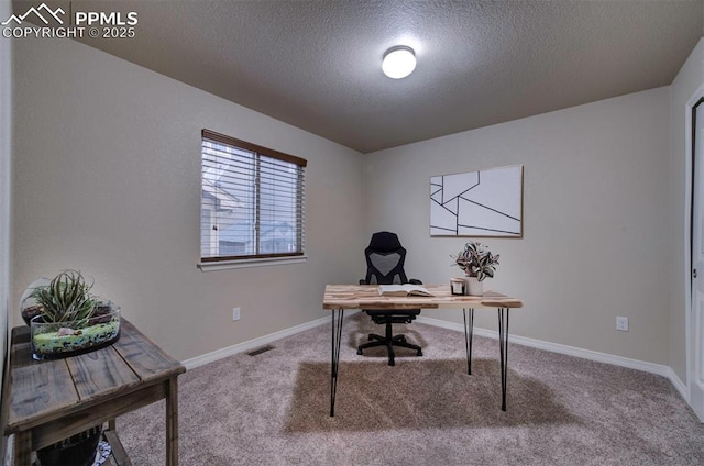 6752 Red Cardinal Loop, Colorado Springs, CO 80908 - home office featuring carpet floors, a textured ceiling, and baseboards