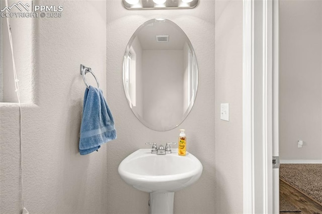 11081 Buckhead Pl, Fountain, CO 80817 - bathroom with wood finished floors and a sink