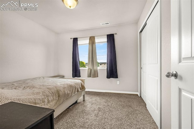 11081 Buckhead Pl, Fountain, CO 80817 - carpeted bedroom with a closet and baseboards