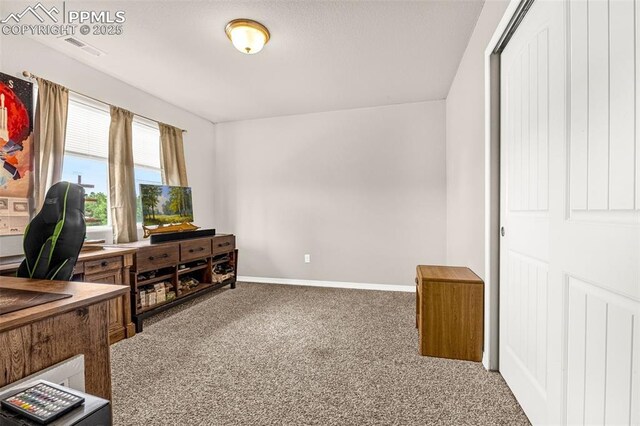 11081 Buckhead Pl, Fountain, CO 80817 - carpeted office with baseboards