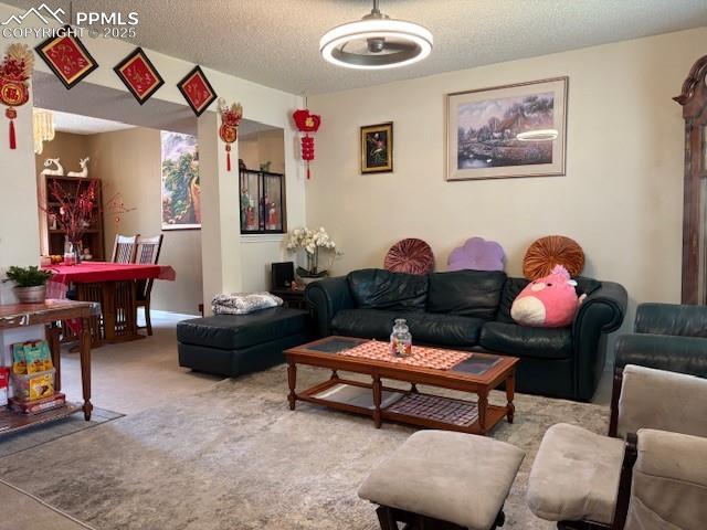 905 Hubbell Dr, Colorado Springs, CO 80911 - living area with carpet floors and a textured ceiling