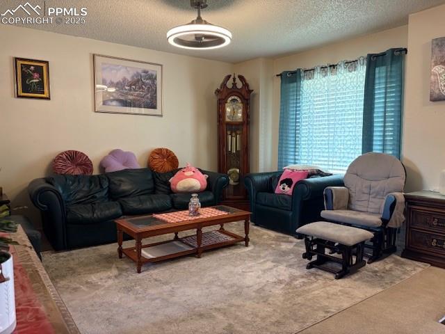 905 Hubbell Dr, Colorado Springs, CO 80911 - carpeted living room featuring a textured ceiling
