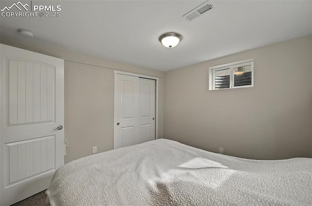 1033 Mt Werner Cir, Colorado Springs, CO 80905 - bedroom featuring a closet