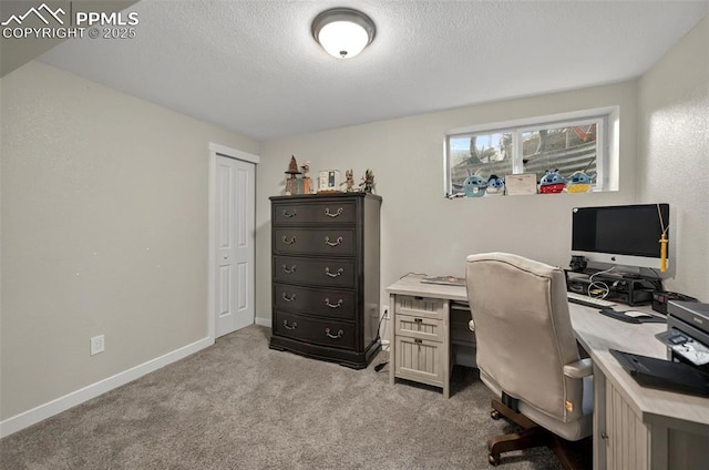 1033 Mt Werner Cir, Colorado Springs, CO 80905 - office space with carpet flooring, a textured ceiling, and baseboards