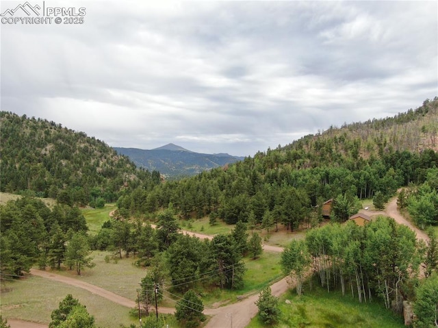 76 Crocus Cir, Florissant, CO 80816