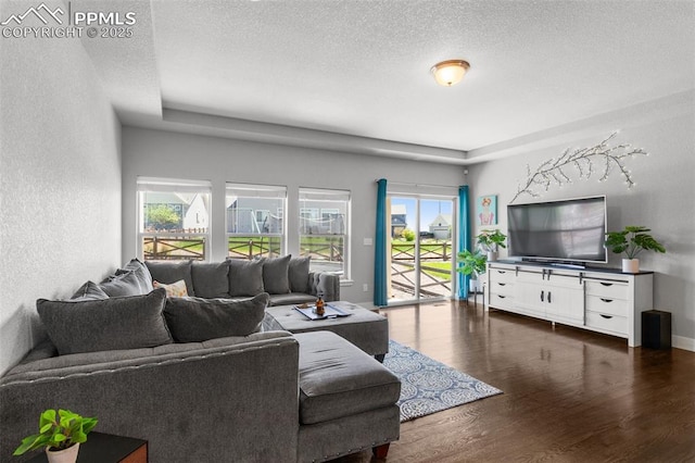 8674 Tranquil Knoll Ln, Colorado Springs, CO 80927 - living area with dark wood finished floors, a textured ceiling, a textured wall, and a tray ceiling