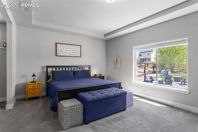 8674 Tranquil Knoll Ln, Colorado Springs, CO 80927 - bedroom featuring carpet floors, a tray ceiling, and baseboards