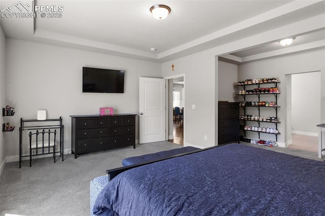 8674 Tranquil Knoll Ln, Colorado Springs, CO 80927 - bedroom with a tray ceiling, carpet, and baseboards