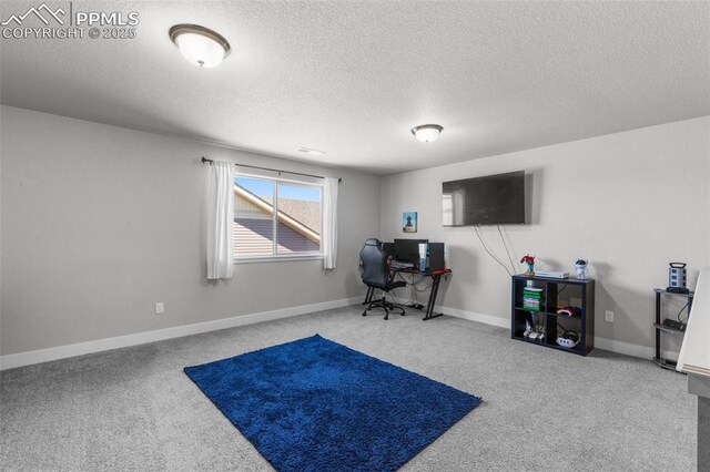 8674 Tranquil Knoll Ln, Colorado Springs, CO 80927 - carpeted office space with a textured ceiling and baseboards