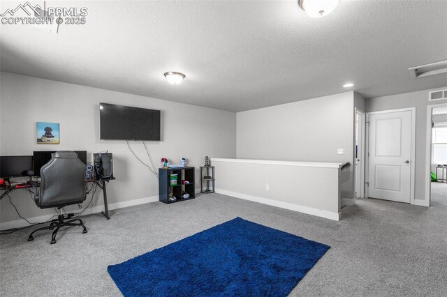 8674 Tranquil Knoll Ln, Colorado Springs, CO 80927 - office area with a textured ceiling, carpet floors, and baseboards