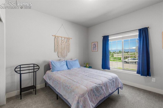 8674 Tranquil Knoll Ln, Colorado Springs, CO 80927 - bedroom with carpet and baseboards