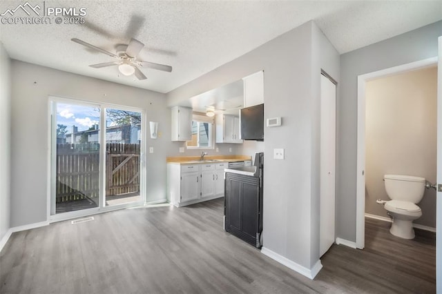 1223 Soaring Eagle Dr, Colorado Springs, CO 80915 - kitchen featuring wood finished floors, a sink, a ceiling fan, light countertops, and a textured ceiling