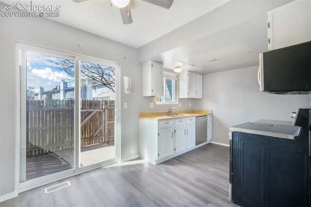 1223 Soaring Eagle Dr, Colorado Springs, CO 80915 - kitchen with dishwasher, a sink, light wood finished floors, a ceiling fan, and baseboards
