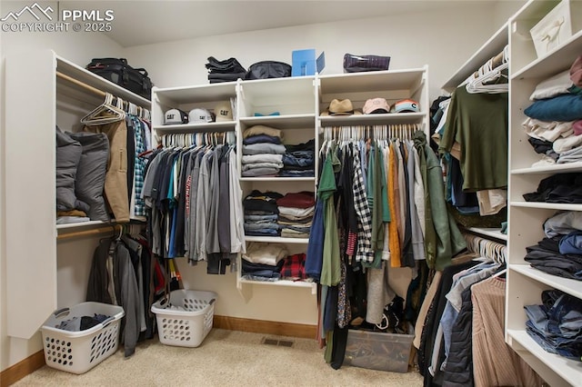 1230 Cottontail Trl, Woodland Park, CO 80863 - walk in closet with carpet flooring
