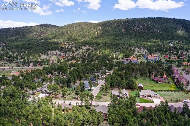 1230 Cottontail Trl, Woodland Park, CO 80863 - view of property location featuring a mountain backdrop and a forest