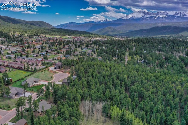 1230 Cottontail Trl, Woodland Park, CO 80863 - aerial view of property's location featuring a mountain backdrop, a forest, and nearby suburban area