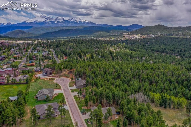 1230 Cottontail Trl, Woodland Park, CO 80863 - drone / aerial view of a heavily wooded area and mountains