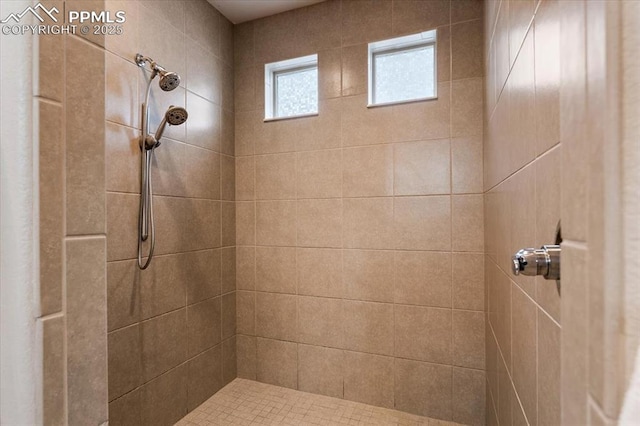 7890 Treehouse Ter, Fountain, CO 80817 - full bathroom featuring tiled shower