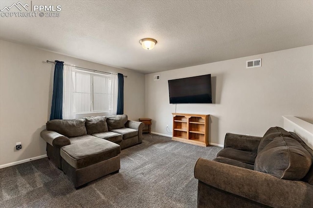 7890 Treehouse Ter, Fountain, CO 80817 - living room with carpet flooring and a textured ceiling