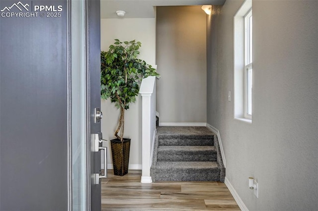 7371 Cornice Pt, Colorado Springs, CO 80923 - stairs featuring wood finished floors and baseboards