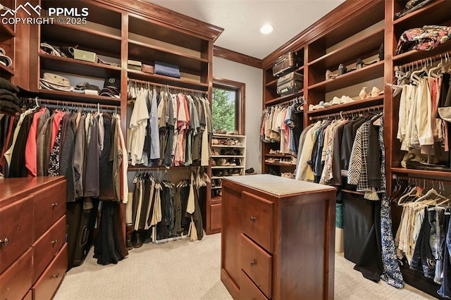 1624 Oakmoor Hts, Colorado Springs, CO 80906 - spacious closet with light carpet