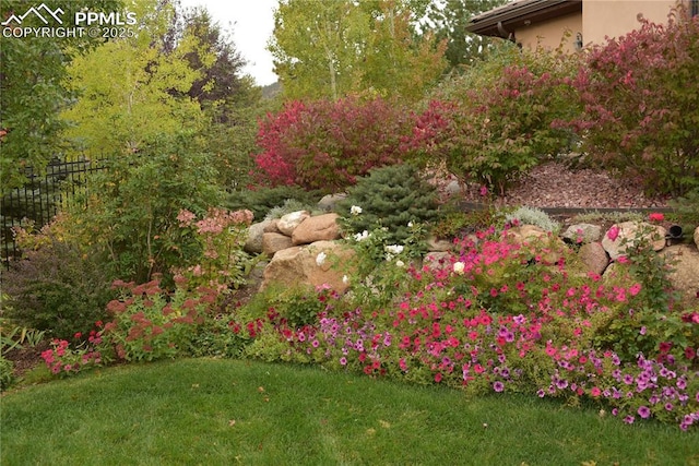 1624 Oakmoor Hts, Colorado Springs, CO 80906 - view of yard