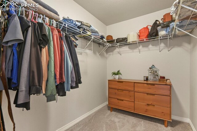 13124 Park Meadows Dr, Peyton, CO 80831 - spacious closet featuring light colored carpet