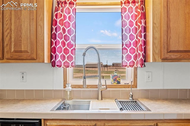 10635 Via Vaquaro Pt, Fountain, CO 80817 - kitchen featuring a sink, light countertops, and brown cabinets