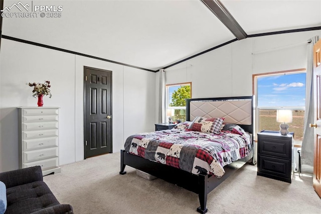 10635 Via Vaquaro Pt, Fountain, CO 80817 - bedroom with carpet floors and lofted ceiling