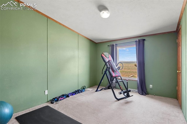 10635 Via Vaquaro Pt, Fountain, CO 80817 - exercise area featuring crown molding, carpet floors, and a textured ceiling