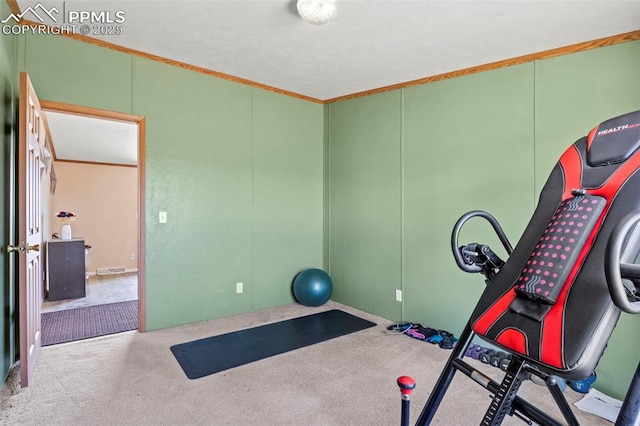 10635 Via Vaquaro Pt, Fountain, CO 80817 - exercise room with crown molding and carpet