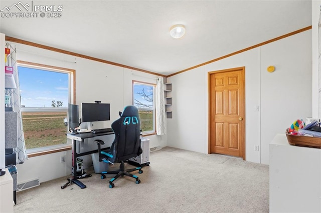 10635 Via Vaquaro Pt, Fountain, CO 80817 - home office featuring vaulted ceiling, carpet, and ornamental molding