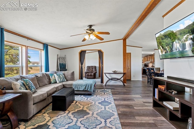 10635 Via Vaquaro Pt, Fountain, CO 80817 - living room with a ceiling fan, dark wood finished floors, vaulted ceiling, and baseboards