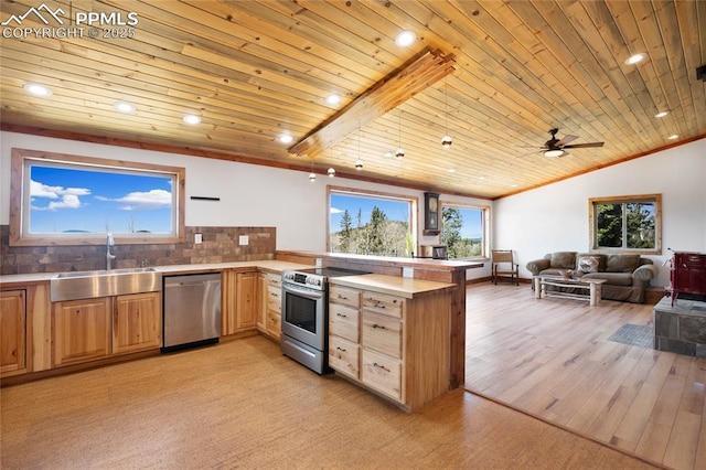 2747 County Road 61, Cripple Creek, CO 80813 - kitchen with appliances with stainless steel finishes, a sink, a peninsula, wooden ceiling, and light wood-style flooring