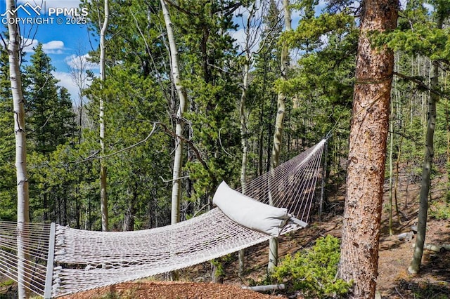 2747 County Road 61, Cripple Creek, CO 80813 - view of local wilderness