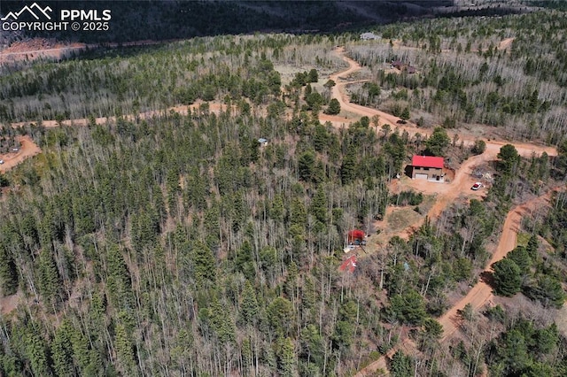 2747 County Road 61, Cripple Creek, CO 80813 - aerial overview of property's location with a forest