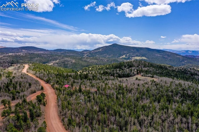 2747 County Road 61, Cripple Creek, CO 80813 - mountain view with a heavily wooded area