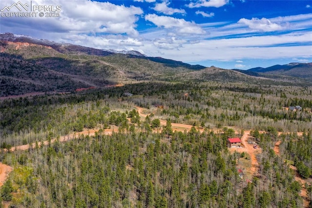 2747 County Road 61, Cripple Creek, CO 80813 - view of mountain background featuring a forest