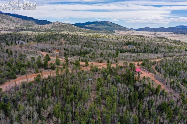 2747 County Road 61, Cripple Creek, CO 80813 - mountain view featuring a forest