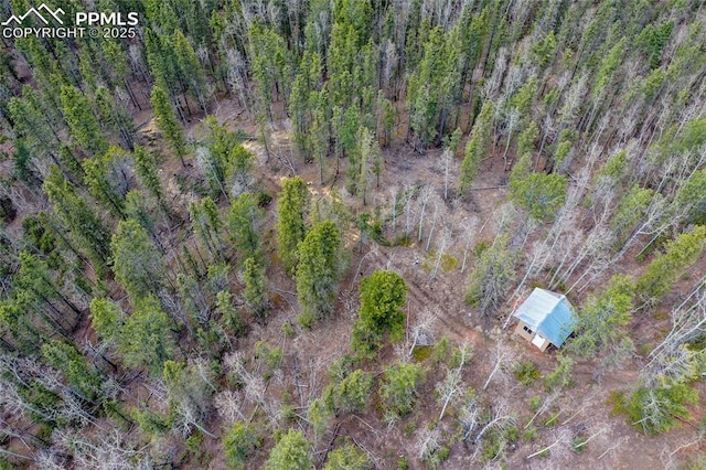 2747 County Road 61, Cripple Creek, CO 80813 - aerial view of property and surrounding area