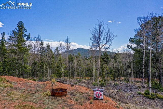 2747 County Road 61, Cripple Creek, CO 80813 - mountain view featuring a forest