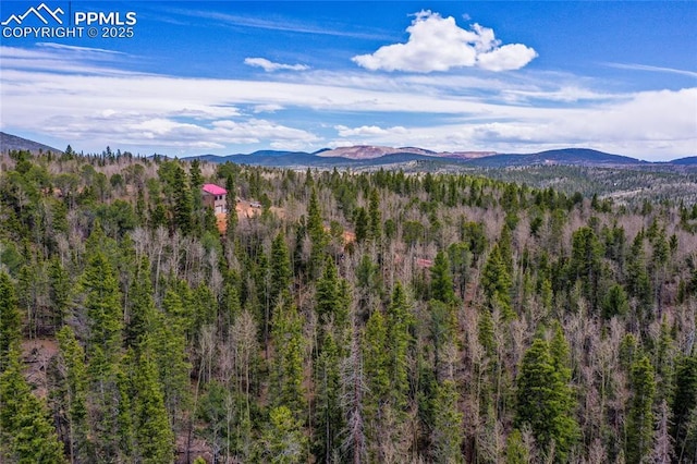 2747 County Road 61, Cripple Creek, CO 80813 - view of mountain backdrop with a heavily wooded area