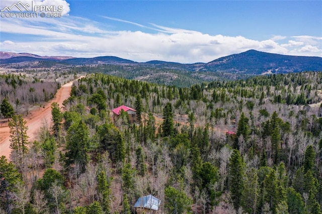 2747 County Road 61, Cripple Creek, CO 80813 - view of mountain backdrop with a heavily wooded area