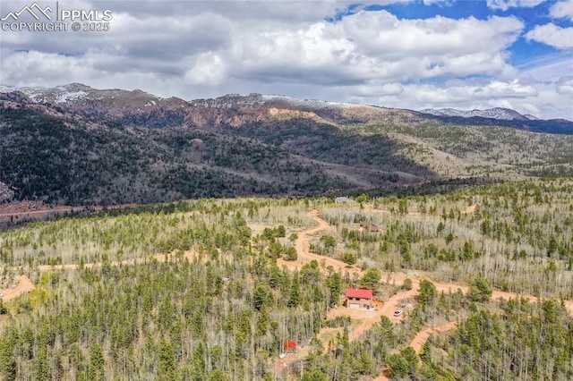 2747 County Road 61, Cripple Creek, CO 80813 - mountain view