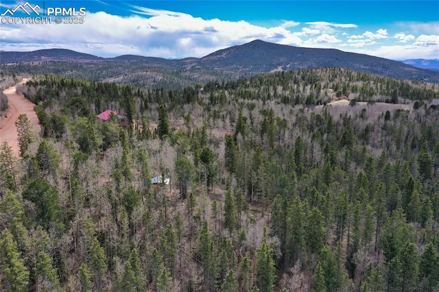 2747 County Road 61, Cripple Creek, CO 80813 - mountain view featuring a forest