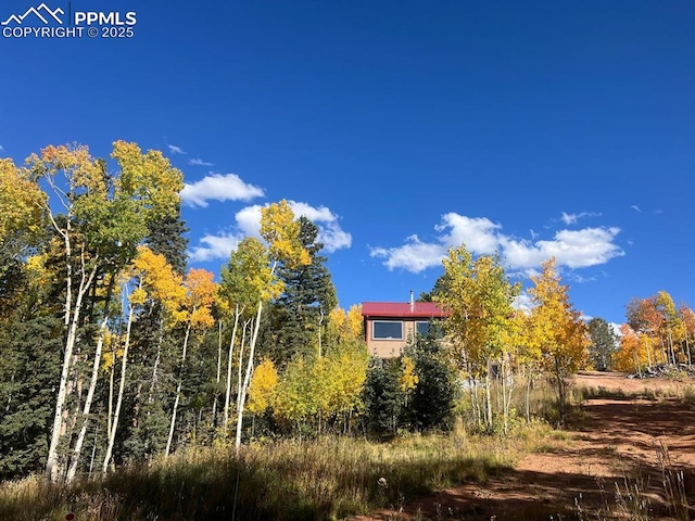 2747 County Road 61, Cripple Creek, CO 80813 - view of local wilderness